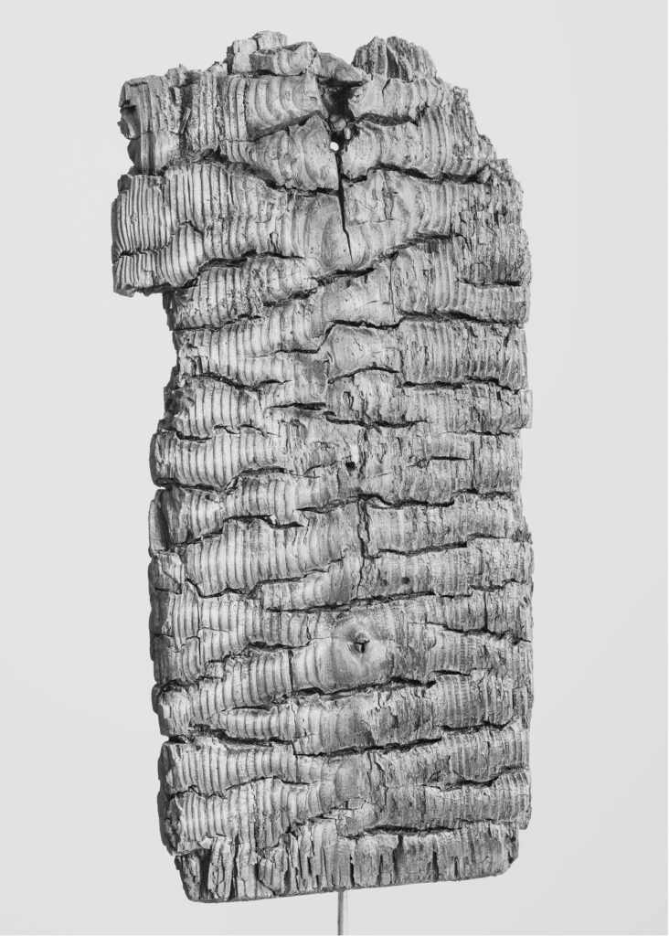 Adam Schreiber Stadtwald Contemporary at Blue Star