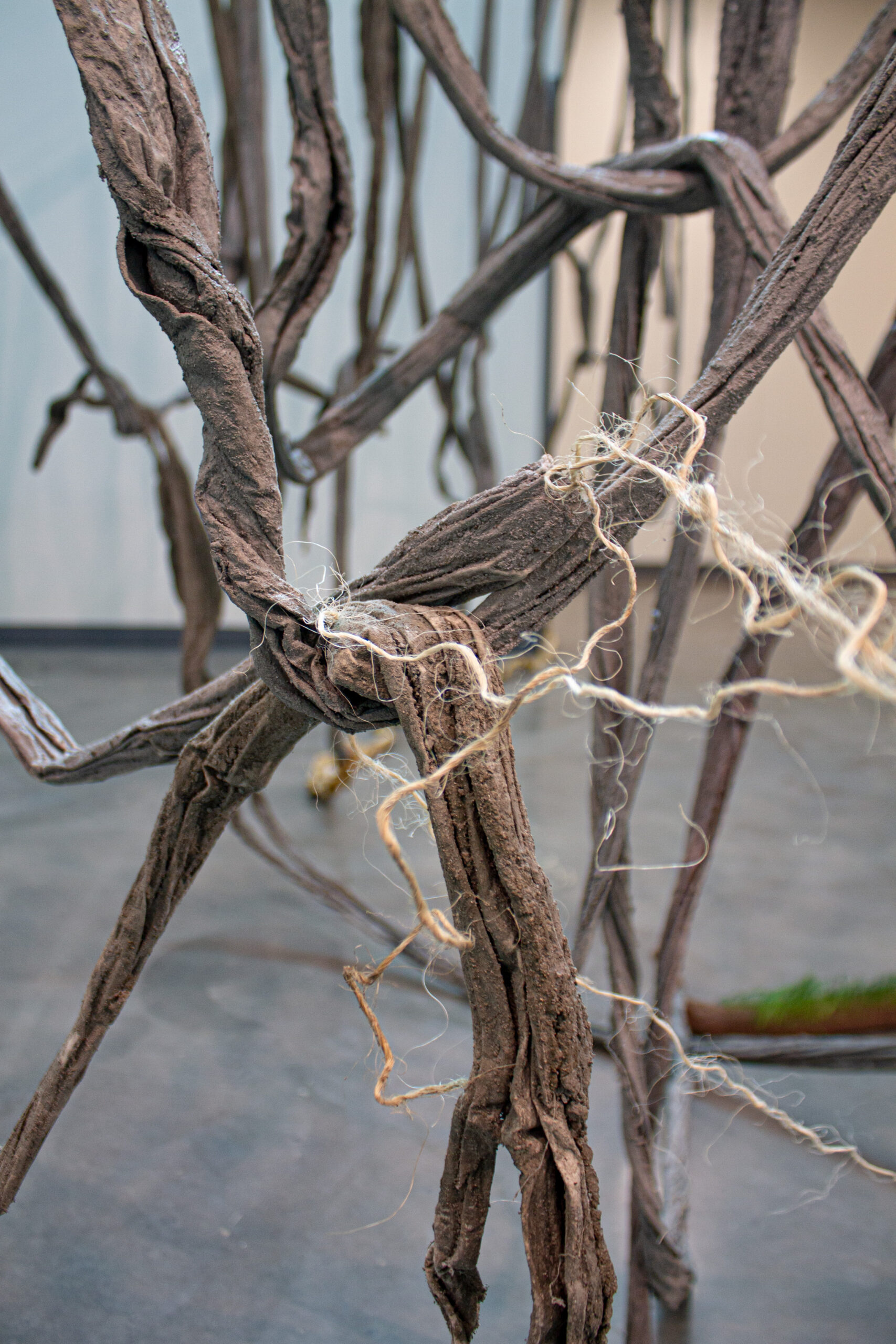 A tightly cropped photograph of an installation work of interlocking brown roots and rope